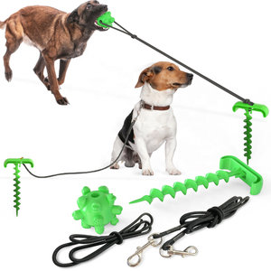 Juguetes de Entrenamiento para Perros Ecológicos Personalizados al por Mayor, Poste de Juego Resistente para Perros al Aire Libre, Suministros para Mascotas Saludables - Product Image 1