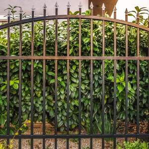 Rampe de balcon en fer forgé de qualité supérieure, anti-corrosion, clôture de sécurité pour villa, escalier et <span class=keywords><strong>terrasse</strong></span> - Product Image 5