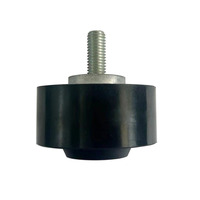 Vòng bi căng dây đai chất lượng cao mới, ròng rọc có thể điều chỉnh, mã OE 022145276A