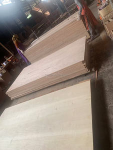 Indonésie Meranti contreplaqué 19mm 4*8 pour meubles colle phénolique E0/E1 formaldéhyde fabricant de contreplaqué de haute qualité - Product Image 6