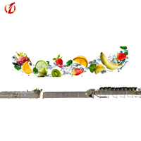 Fruit- en groenteverwerkingslijn product frietverwerkingslijn