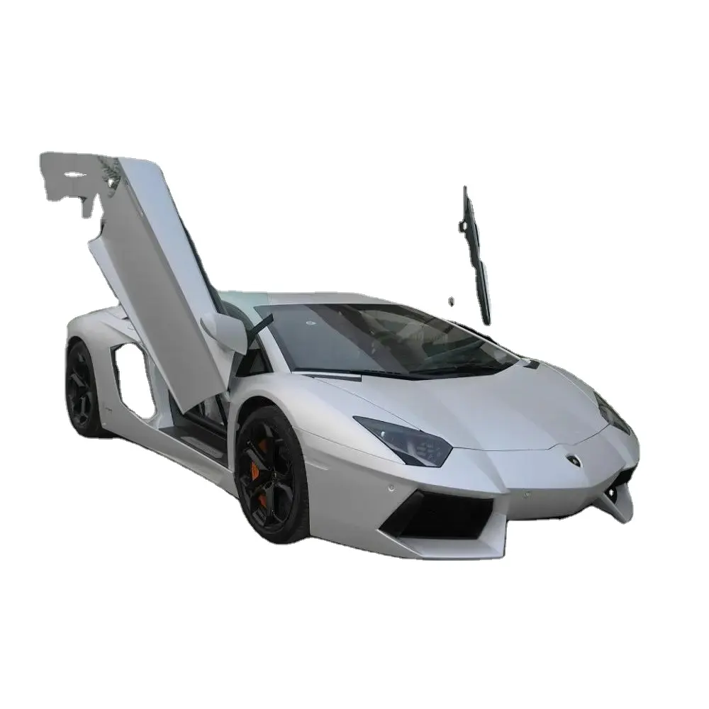 Pintu Lambo Universal Otomatis RGFROST