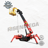 Grue araignée compacte Risenmega 3T Mini, grue télescopique télécommandée de 10 m, acier au manganèse Q235, chenilles en caoutchouc, hydraulique