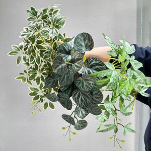 Planta Artificial Verde Meng Jie de 30cm-100cm, Decoración de Pared para Interiores, Hojas de Eucalipto y Árbol del Dinero, Tela de PVC y Seda - Product Image 1