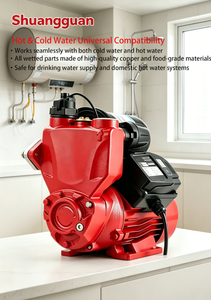 Bomba de Presión de Agua para Toda la Casa WZB, 40L/Min, 220V, Fácil Instalación, Autocebante, Inteligente, para Cocina y Hogar - Product Image 2