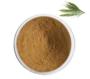 Kozmetik için saf doğal atkuyruğu özü 10:1 20:1 30:1 50:1 atkuyruğu çim özü - Product Image 3