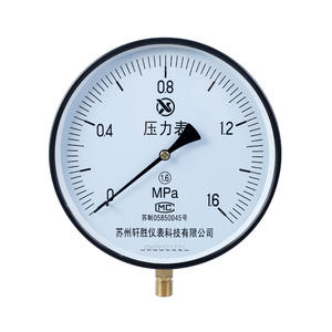 Manomètre Suzhou Xuansheng Y250 1,6 Mpa, 250 mm, acier inoxydable, raccord fileté, pour utilisation avec chaudière à vapeur - Product Image 1