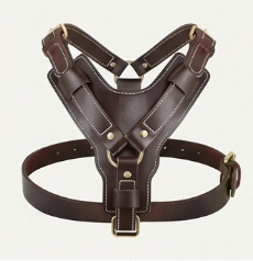Arnés de Cuero Personalizado para Perro, Resistente, Ajustable, Tipo Chaleco, Sin Tirones, para Entrenamiento y Paseo, Accesorios para Perros de 20 kg+ - Product Image 1