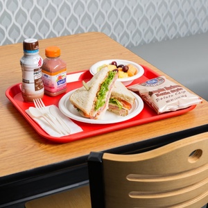 La mejor calidad, respetuoso con el medio ambiente, antideslizante, grado comercial, hotel, restaurante, PP, apto para lavavajillas, bandeja para servir, bandejas de comida rápida - Product Image 4