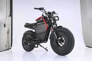 Vélo tout-terrain Feiwo X11 professionnel, 48V lithium, 500W, moteur sans balais, 13Ah, suspension intégrale, vitesse unique, roues de 20 pouces, aluminium, X11 haute puissance - Product Image 3