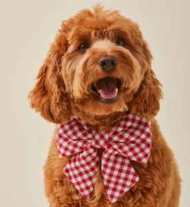 Ensemble d'accessoires pour harnais de chien personnalisé, design rembourré écologique, motif personnalisé, faible MOQ - Product Image 4