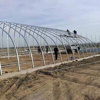 Serre tunnel agricole à grande portée en acier galvanisé à chaud, à faible coût, avec ventilation manuelle/électrique