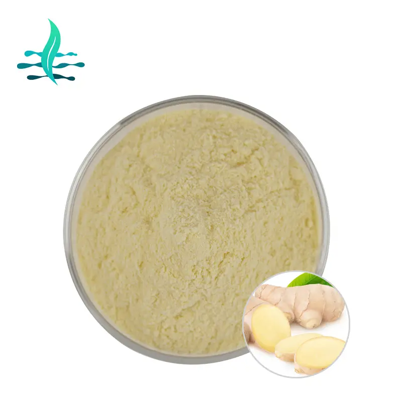 Water Soluble Ginger Powder 5% gingerol powder brown gingerol extract powder