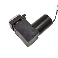 Pompe à air à piston sans balais 20L/min 350Kpa 80Kpa pour laboratoire, automatisation médicale, OEM