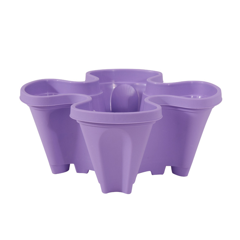 4-Purple