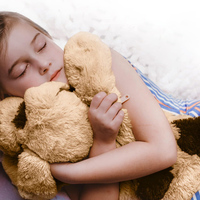 Vente en gros Animal en peluche lesté Peluche jouets Vente en gros personnalisé Nouveau design souple personnalisé Peluche animal lesté