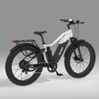 Antideslizante VIVINIU T03 Pro 250W/500W/750W/1000W 48V figuración opcional deportes fanático Fat Tire bicicleta eléctrica