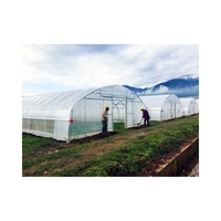 Serre tunnel simple en PE à prix abordable, facile à assembler, vente en gros d'usine pour les fournisseurs agricoles mondiaux