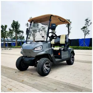 ホットプロモーション製品CE2セットクラブゴルフ電気ゴルフ電気自動車