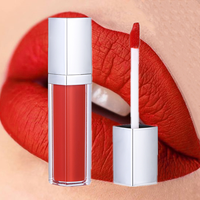 Rouge à lèvres liquide rouge sexy, marque privée, métallique, créez vos propres noms de couleurs, rouge à lèvres