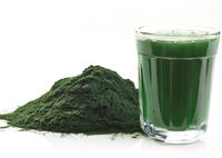 Poudre de Chlorelle Bio OEM UE&NOP Riche en Vitamines, Protéines, Chlorophylle et Fibres – Complément Alimentaire Extrait de Chlorelle