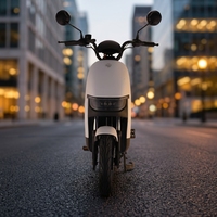 Moto électrique longue portée 1000W 60V à batterie au plomb, blanche, haute vitesse, pour adultes