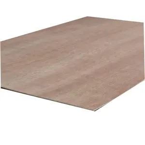High quality bintangor Sapeli Okoume Door Skin Size Plywood Size 915X2135X2.5mm factory
