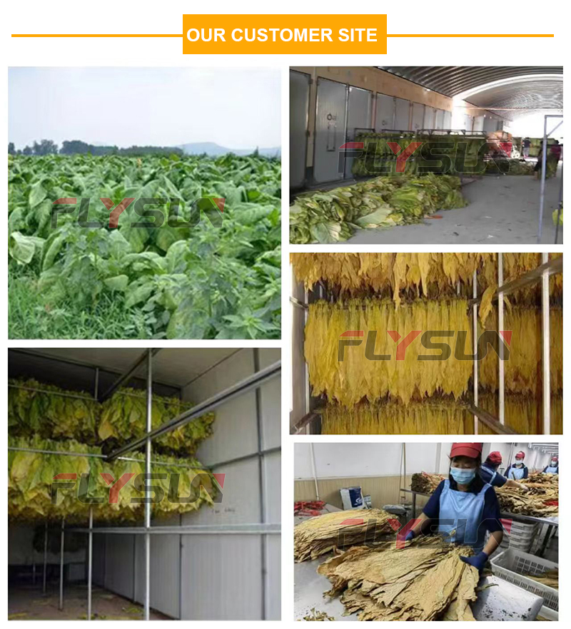 tobacco curing equipment Modern Tobacco Curing Barns