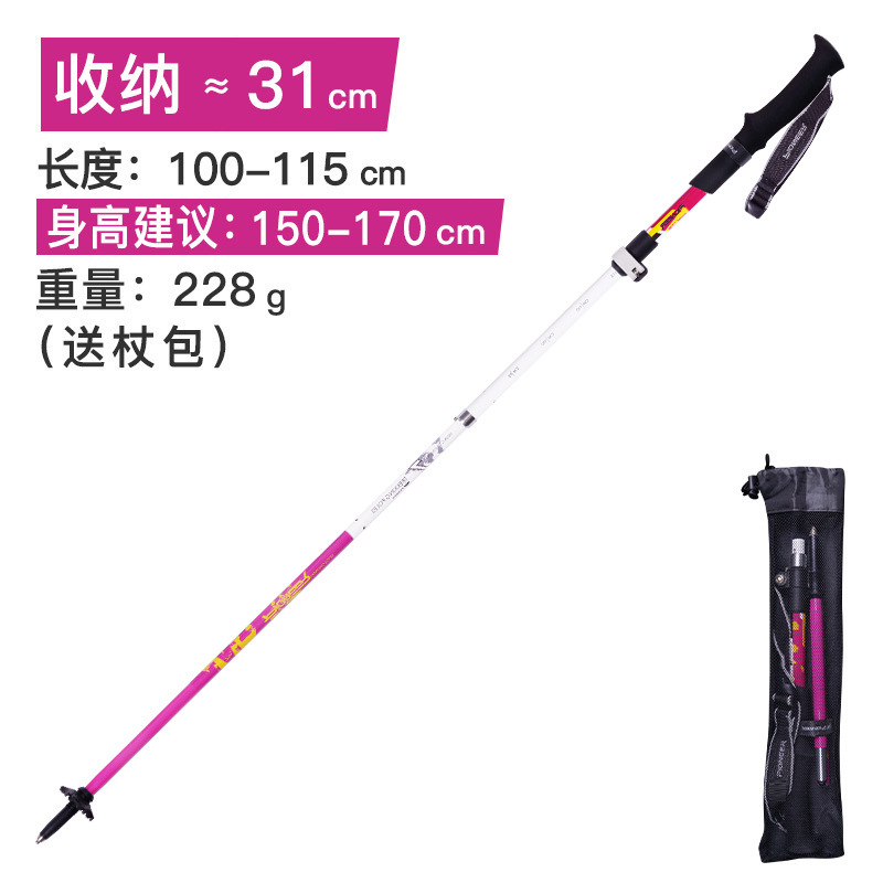 Rose 31-115