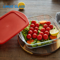 Plat de cuisson en verre borosilicate haute résistance Linuo, multi-usages, pour la cuisson au four