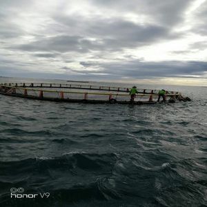 Circular <b>Floating</b> <b>Fish</b> Cage With Anti-predator Net HDPE Marine Cage For Commercial Aquaculture - Product Image 4