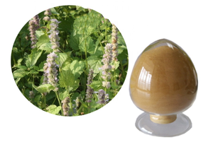 Ventes mondiales Extrait de Patchouli Extrait d'Agastache Rugosa Poudre d'extrait de Patchouli - Product Image 4