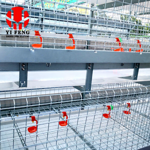 Jaula para Pollos Juveniles <span class=keywords><strong>de</strong></span> Clase A, <span class=keywords><strong>de</strong></span> Diseño Moderno <span class=keywords><strong>y</strong></span> Ecológico, Automática <span class=keywords><strong>y</strong></span> <span class=keywords><strong>de</strong></span> Larga Duración, para la <span class=keywords><strong>Venta</strong></span> en Granjas Avícolas - Product Image 4