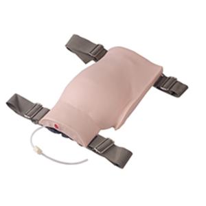 Bokong dapat dipakai untuk injeksi <span class=keywords><strong>Gluteal</strong></span> Model skuli latihan injeksi otot pinggul manekin - Product Image 1