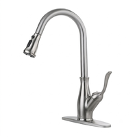 Robinet de cuisine monocommande à poser en acier inoxydable pour évier de bar, mitigeur multifonction avec pulvérisateur, eau chaude et froide, conception durable