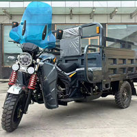 Tricycle cargo à essence fiable de 200 cm³ à carrosserie ouverte, capacité de charge de 1000 kg et vitesse de 50-70 km/h pour la logistique et la livraison