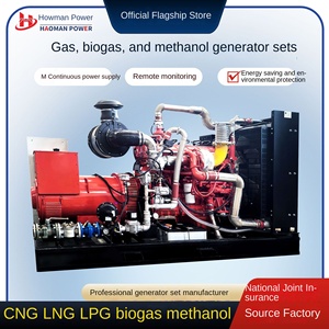 גנרטורים ביוגז וגז 200kW 250kW 300kW לחוות בעלי חיים ולשטחי נפט דגם 230400 50/60 הרץ - Product Image 4