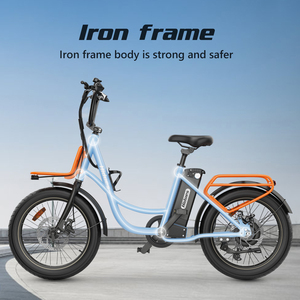 Venta Directa de Bicicleta Eléctrica Plegable de Montaña Hidoes C6 36V 250W para Adultos, con Marco de Aluminio - Product Image 4