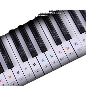 Piano Keyboard Sticker Colorful Note <b>Labels</b> For 88 61 54 <b>Keys</b> Electronic Piano Roll Up Keyboard Music Learning Aid - Product Image 1