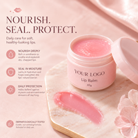 Ensemble de soins pour les lèvres vegan bio de haute qualité, trio de soins pour les lèvres, gommage, masque, baume, hydratant, exfoliant, réparateur, lèvres lisses, coffret cadeau