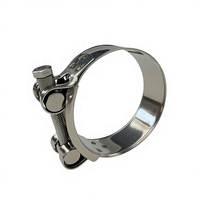 Collier de serrage réglable en acier inoxydable poli ultra-résistant bleu et argenté pour radiateur automobile, type T-Bolt