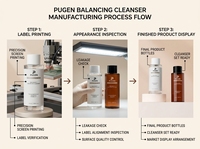 Bouteille cosmétique PET givrée de 250 ml et 300 ml pour soins de la peau, vide, pour lotion, toner, emballage cosmétique, masque facial personnalisé, perruques
