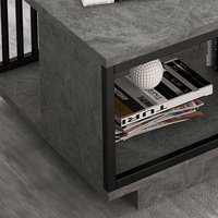 Table basse de luxe moderne pour salon, table centrale rectangulaire avec étagère de rangement ouverte et structure métallique, mobilier de maison