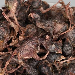 Заводская прямая сублимированная сушеная перепелка, полностью натуральные высокопротеиновые лакомства для собак, кошек и рептилий, питание для всей добычи - Product Image 5