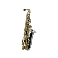 High Quality Brass Alto Saxophone JYAS102DSG EB Silver Tone Gold Keys Adjustable Foldable Wind Instrument Includes Accessories