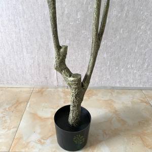 Vente en gros de plantes artificielles <span class=keywords><strong>pour</strong></span> décoration d'intérieur Bonsaï Faux <span class=keywords><strong>olivier</strong></span> vert Hortensia Type en <span class=keywords><strong>pot</strong></span> - Product Image 6