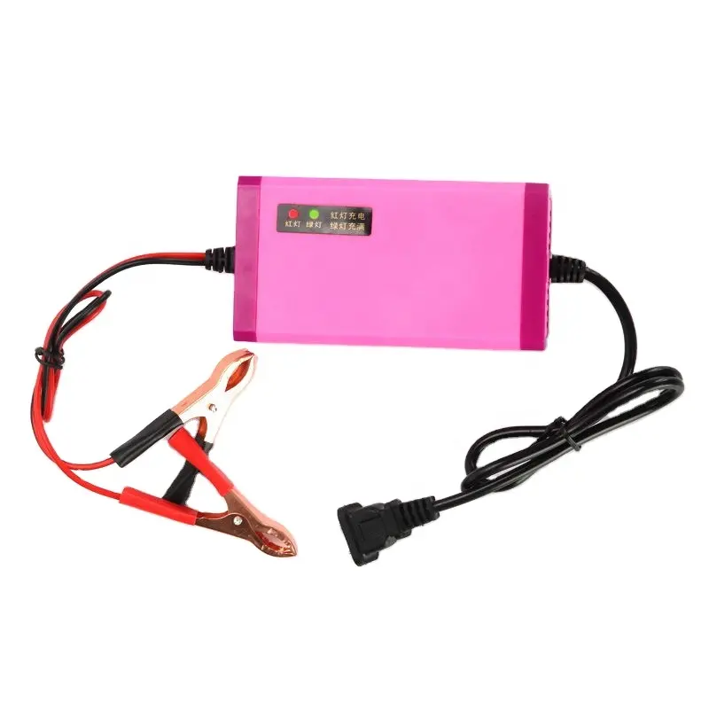 hot sale 12 v volt pedal motorrad-batterieladegerät automatisches universelles intelligentes batterieladegerät