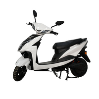 Scooter électrique à deux roues pour adultes, vitesse maximale de 80 km/h, puissance de 48 V, 3000 W, avec batterie au plomb-acide pour les trajets urbains