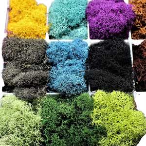 Panneau mural en mousse de renne stabilisée naturelle, véritable, douce, colorée et préservée, personnalisable - Product Image 1