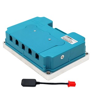 <strong>10000W</strong> Brushless Direct-Drive 165 Electric Motorcycle <strong>Hub</strong> <strong>Motor</strong> <strong>Kit</strong> with Fardriver ND72890 Controller and DKD LCD Display - Product Image 3